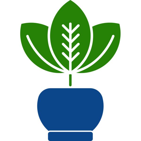 Plant 2 Thumbnail
